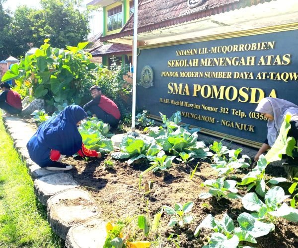 58a48516-0e07-43ea-8992-169d6b07946a